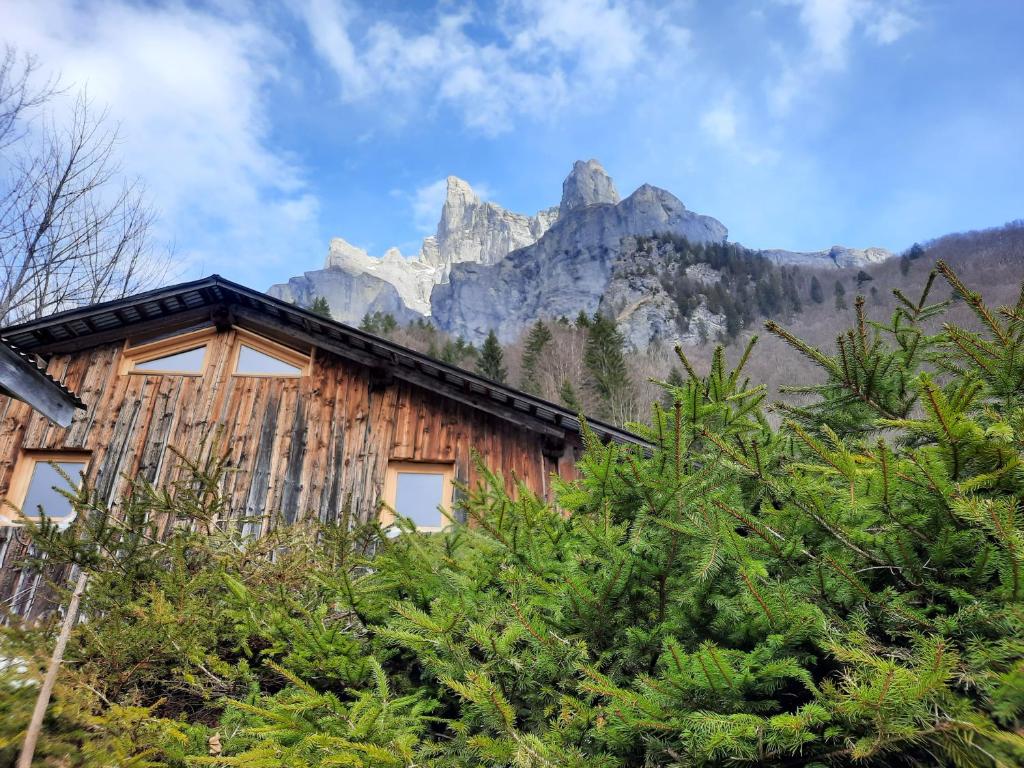 a wooden house with a mountain in the background at Chalet la corne du chamois in Sixt