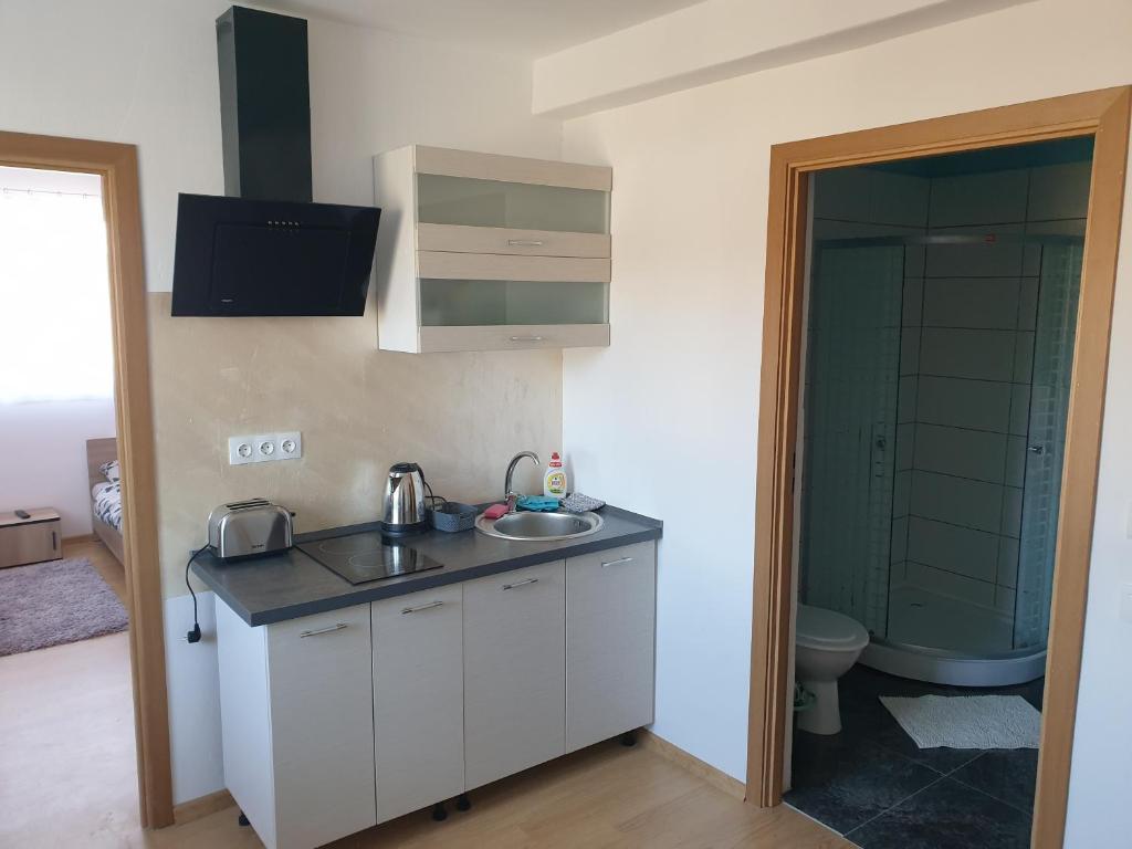 Castle Csányi - Apartamento