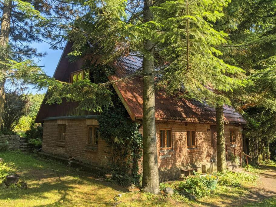 an old house in the woods with trees at Warmiński dom nad jeziorem in Łomy