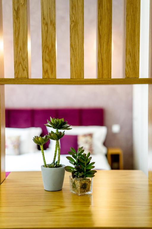 Mouzinho 129 - Medronheiro & Oliveira - 2