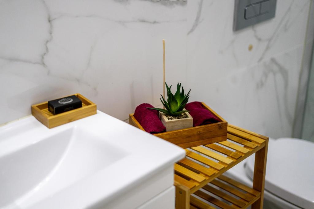 Mouzinho 129 - Medronheiro & Oliveira - 11