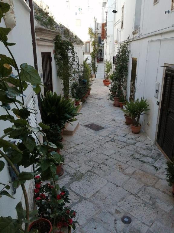 Antica noci - Casa De Un Dormitorio