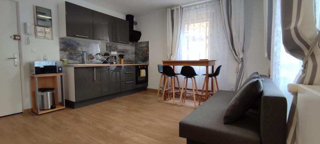 a living room with a couch and a kitchen at Résidence Romains 1G in Strasbourg