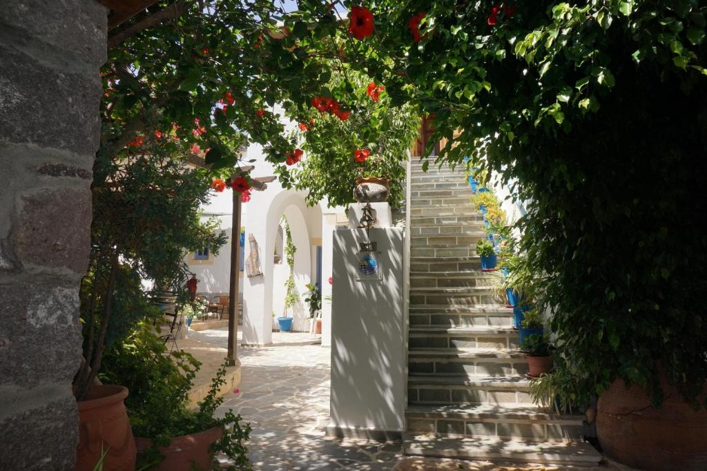 Fotografie z fotogalerie ubytování Patmos Maria Studios v destinaci Skala