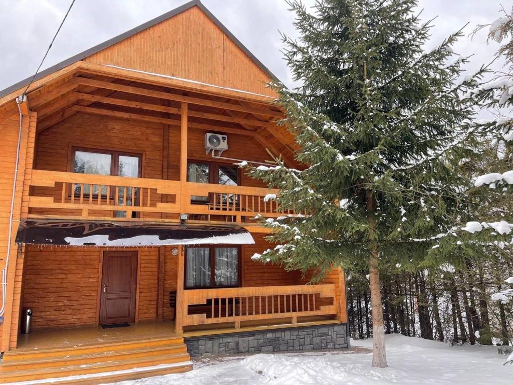 een blokhut in de sneeuw met een boom bij Зруб in Skhidnitsa