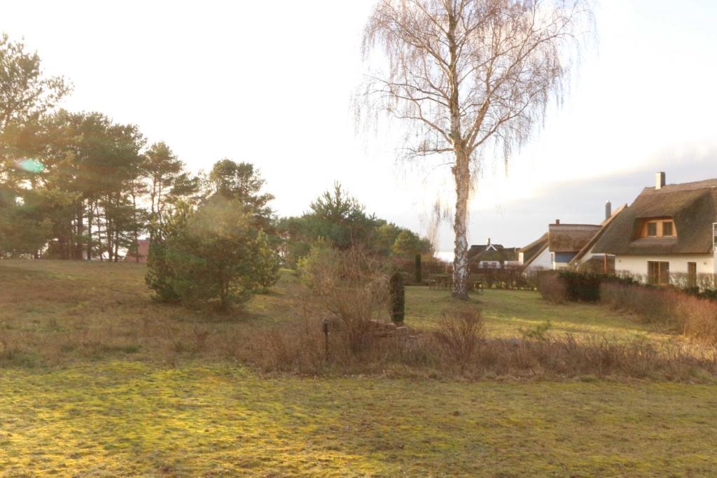 Příroda nedaleko prázdninového domu