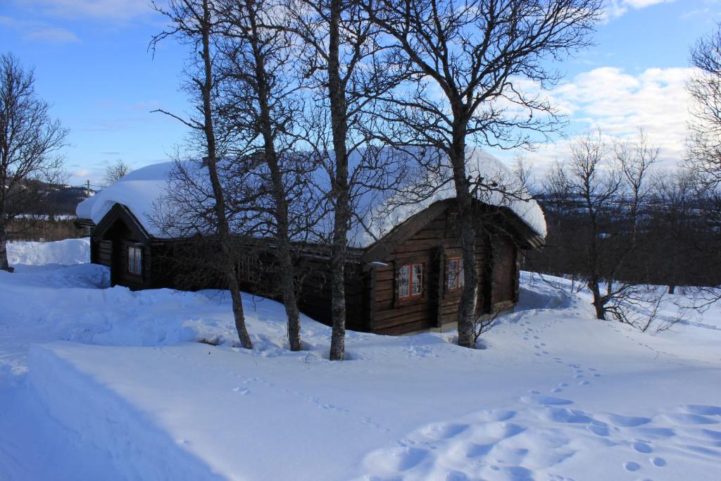 a small wooden cabin in the snow with trees at Cozy cabin at Beitostølen with sauna, hot tub & fireplace in Beitostøl