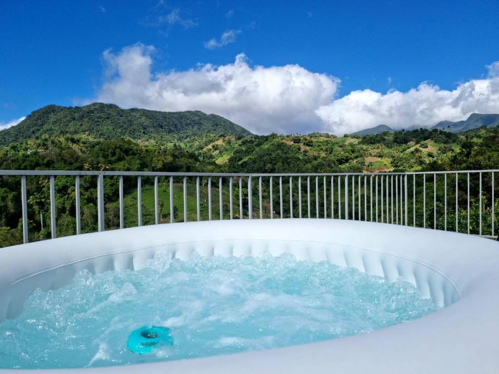 a hot tub with a view of the mountains at vacances au vert in Baillif