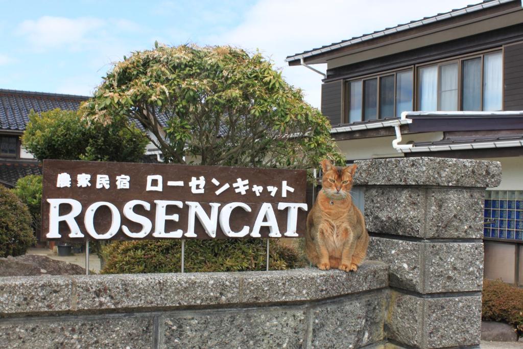 un chat assis sur un mur de pierre devant un panneau dans l'établissement Rosencat, à Sado