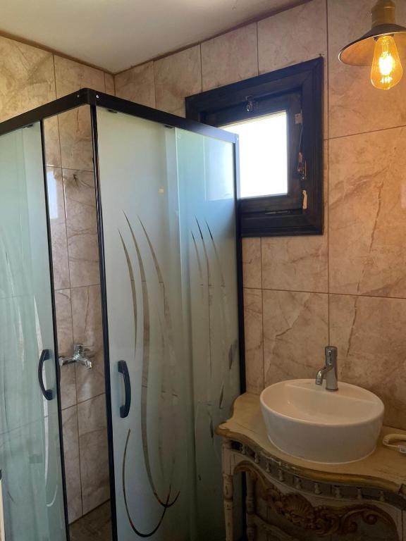 bagno con doccia in vetro e lavandino di Lake Wood House a Muğla