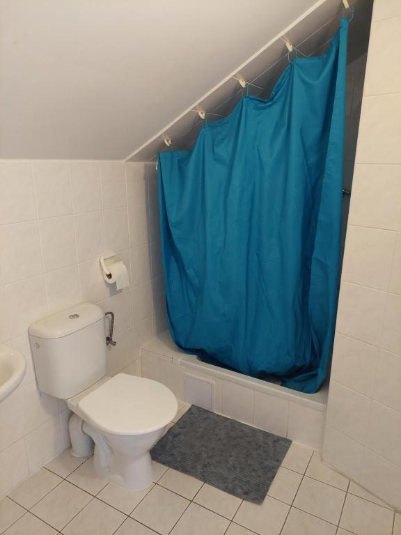 チェスキー・クルムロフにあるペンション U ソウドゥのバスルーム(トイレ、青いシャワーカーテン付)