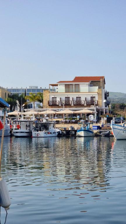 Y & P LATCHI HOTEL