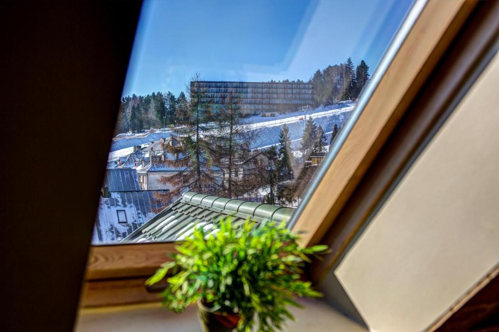 Fotografia z galérie ubytovania Krynica Apartamenty Apartament w Centrum z dwoma sypialniami 20 v Krynici-Zdrój