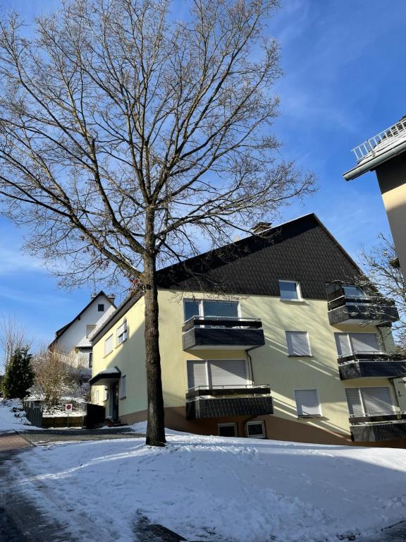 a tree in the snow next to a building at Apartement Willingen in Stryck