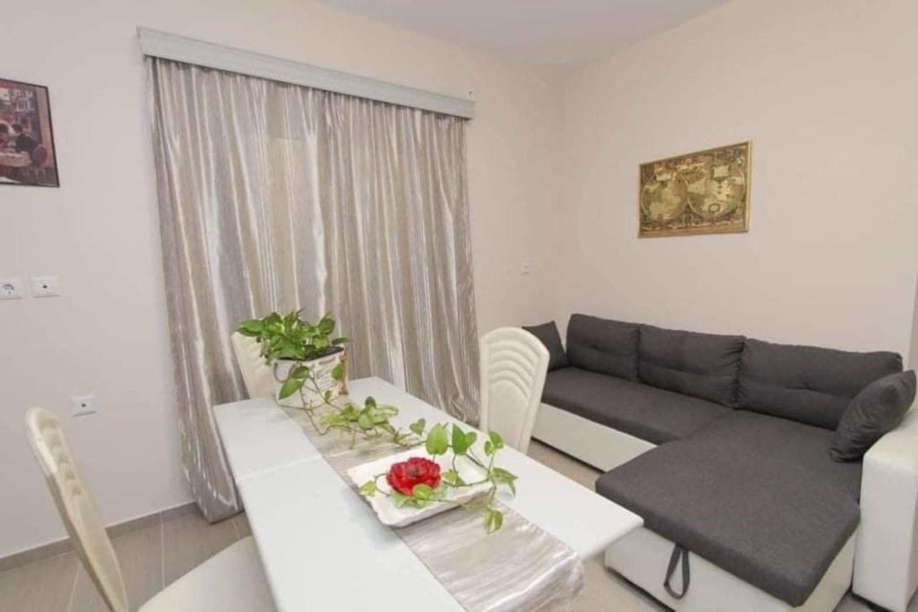 Fotografie z fotogalerie ubytování Zakynthos Gold House - Appartments v destinaci Tragaki