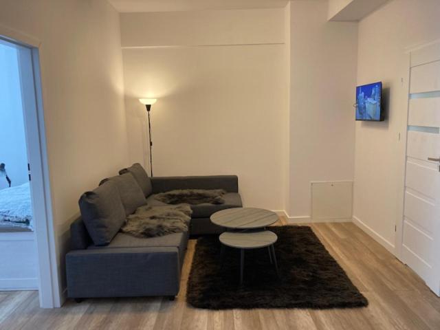 a living room with a couch and a table at Apartament Centrum Szczytno I in Szczytno