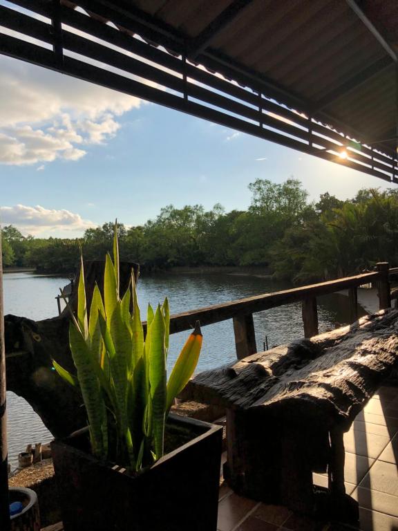 Pop riverside trat - 12