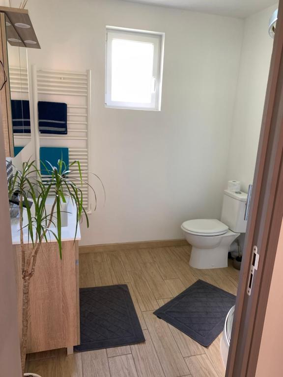 a bathroom with a toilet and a potted plant at Studio indépendant Lisieux in Lisieux