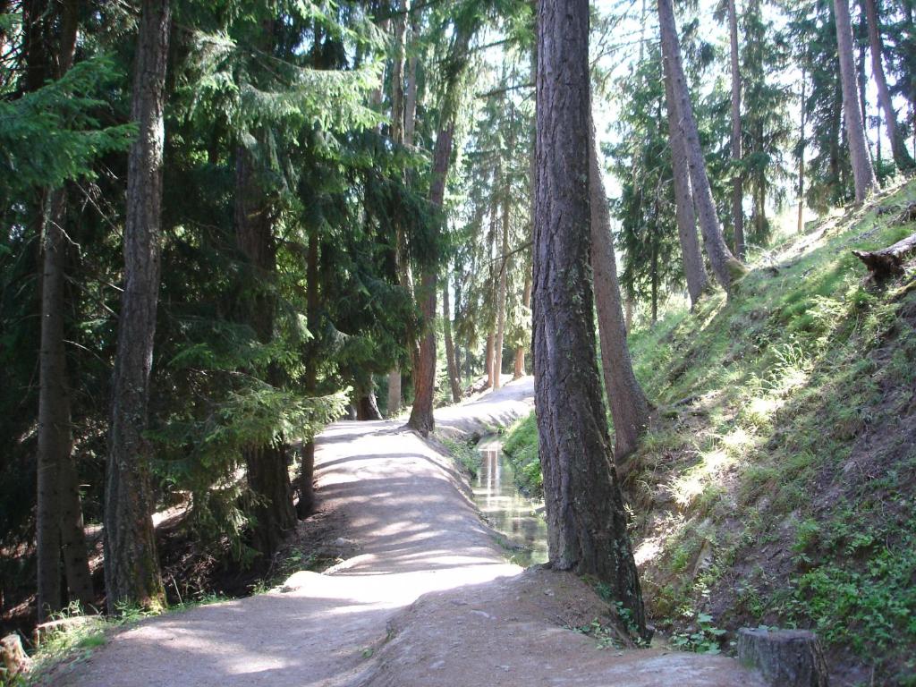 Greppons O 040 - MOUNTAIN apartment 8 pers - Resim 17