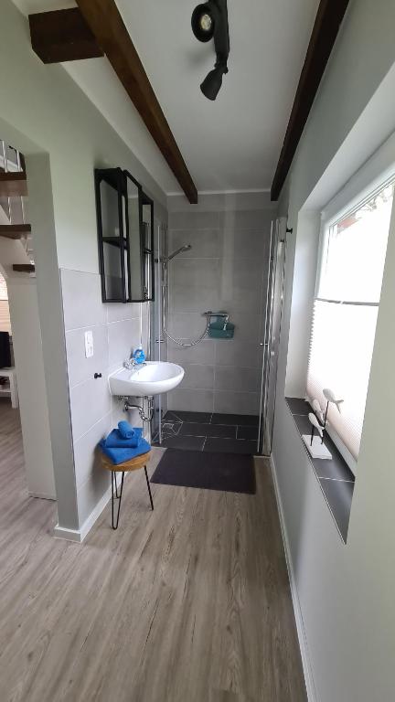 a bathroom with a sink and a shower at Tiny House Südliches Friesland-FRI Natur erleben in Bockhorn