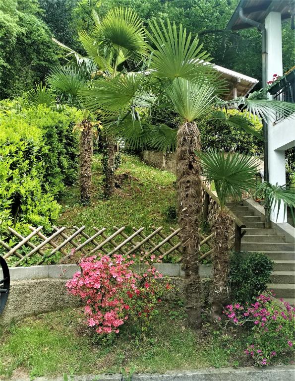 Zahrada ubytování Casa le palme -Montagnola
