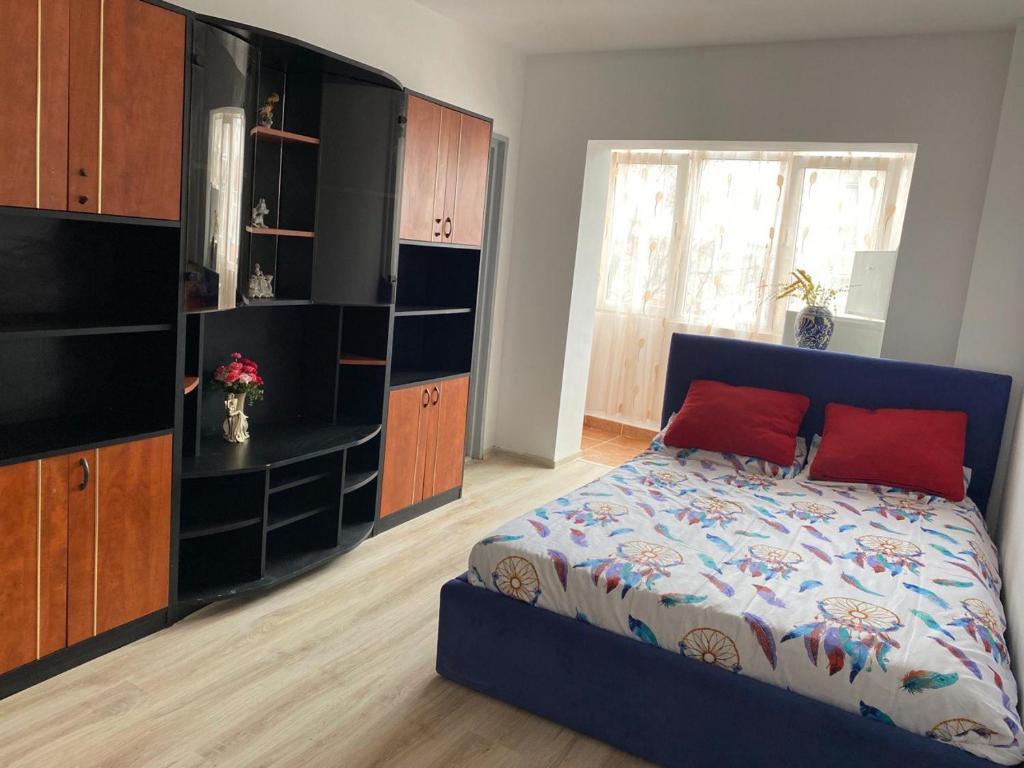 Downtown Apartments in Arad