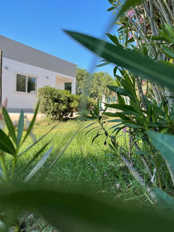 vistas a un patio con una casa en Camping Carratois en Portopalo