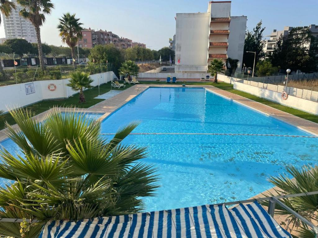 una gran piscina con palmeras y un edificio en Comfort 1BDR Apartment W/Pool by LovelyStay, en Portimão