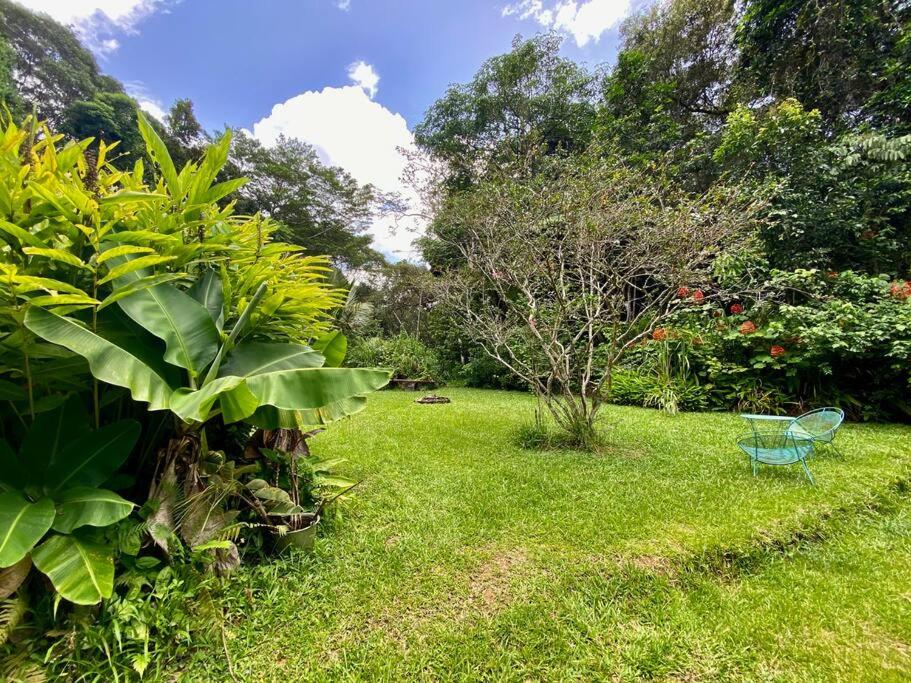 Zahrada ubytování Tranquil Rainforest Studio Kuranda