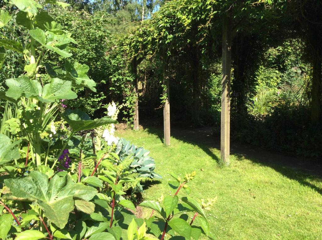 um jardim com um monte de plantas e árvores em Trustwood Bed and Breakfast em Burton