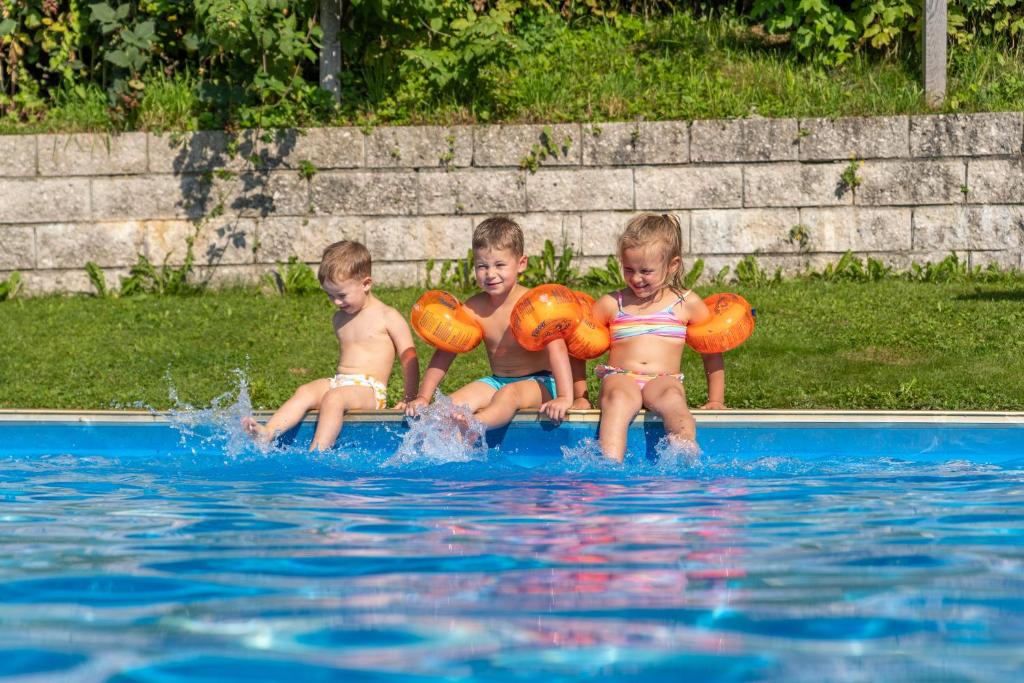 Bazén v ubytování Pension-Appartement Mitterhofer nebo v jeho okolí