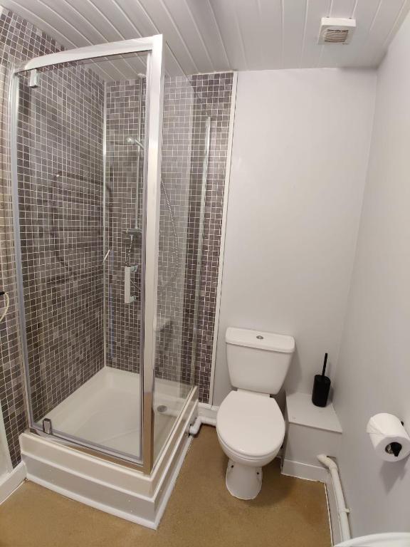 a bathroom with a toilet and a shower at Woolpack Inn in Chichester