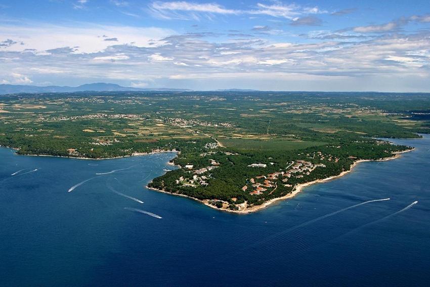 Příroda nedaleko apartmánu