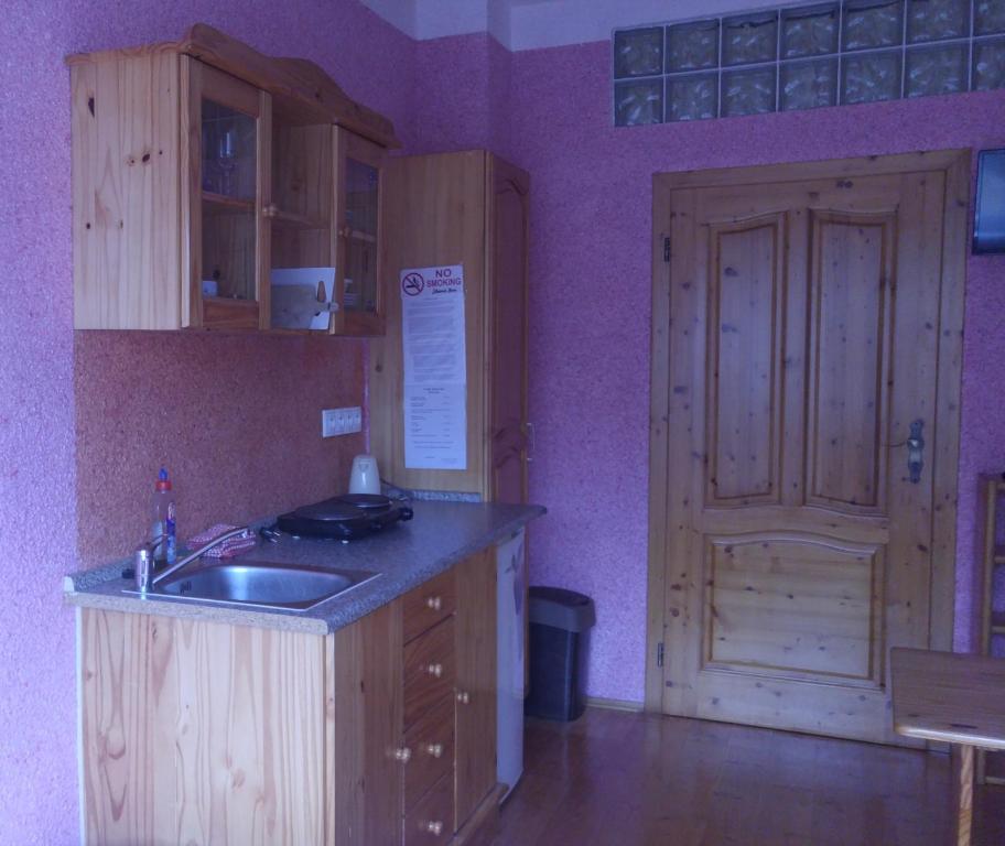 Kuchyň nebo kuchyňský kout v ubytování Penzion Apartmány Bečov