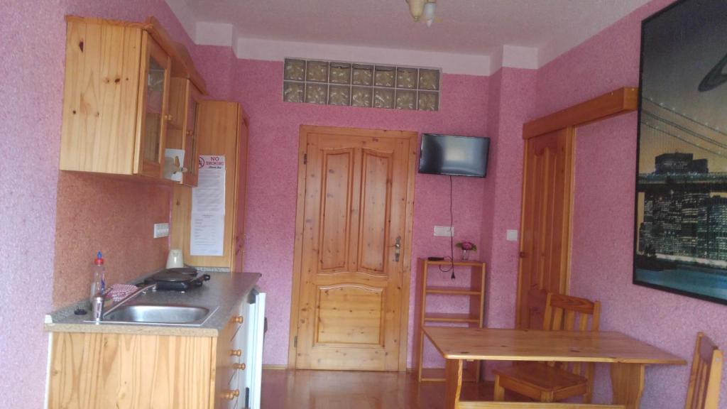 Kuchyň nebo kuchyňský kout v ubytování Penzion Apartmány Bečov
