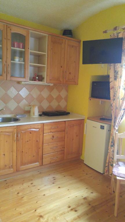 Kuchyň nebo kuchyňský kout v ubytování Penzion Apartmány Bečov