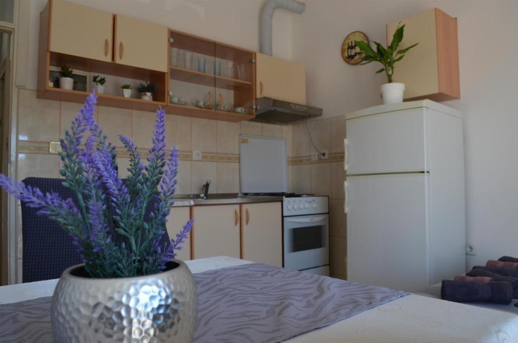 Kuchyň nebo kuchyňský kout v ubytování Apartments Davorka