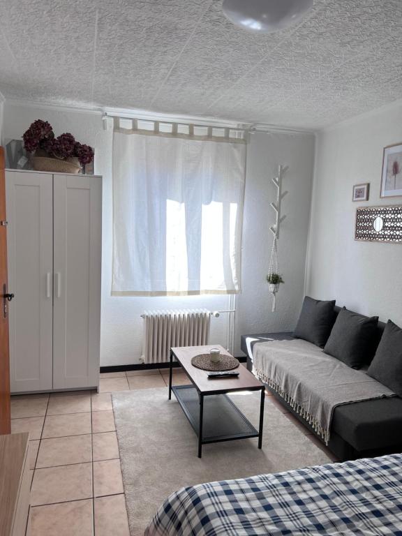 Lilas Margarita - Housity