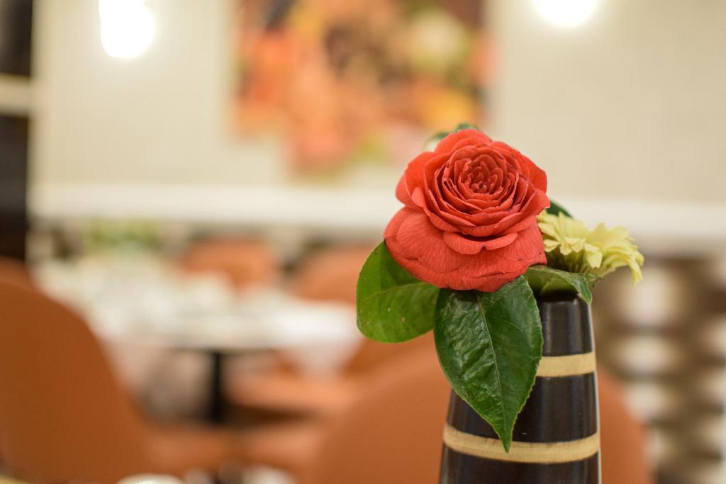 Pembridge Palace Hotel - Resim 32