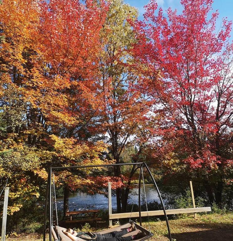 a swing set in a park with autumn leaves at Oberge Inn Val-David in Val-David