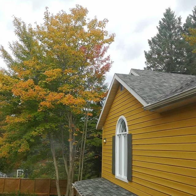 a yellow house with a window and some trees at Oberge Inn Val-David in Val-David