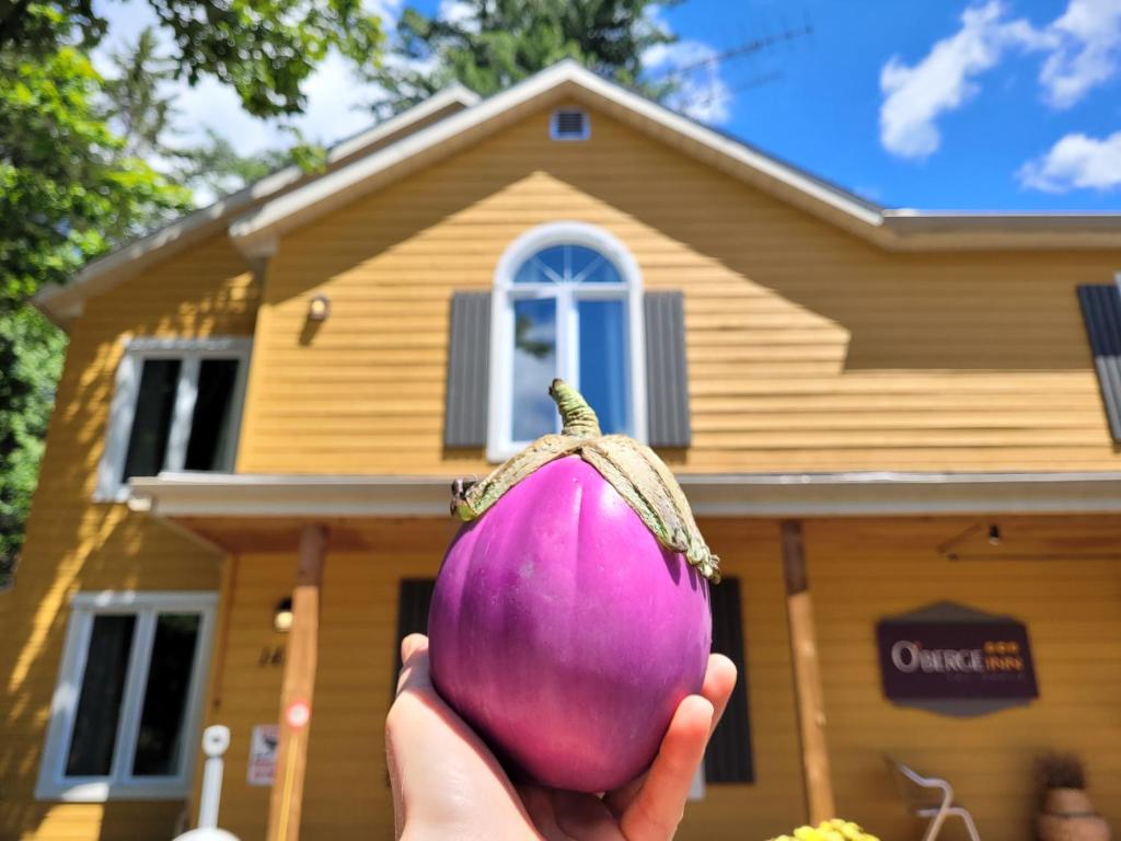 a person holding a purple onion in front of a house at Oberge Inn Val-David in Val-David