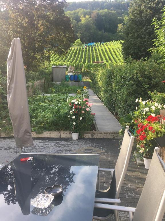 uma mesa de vidro com vista para um jardim em Ferienwohnungen Weiherhausstraße 6 em Herten