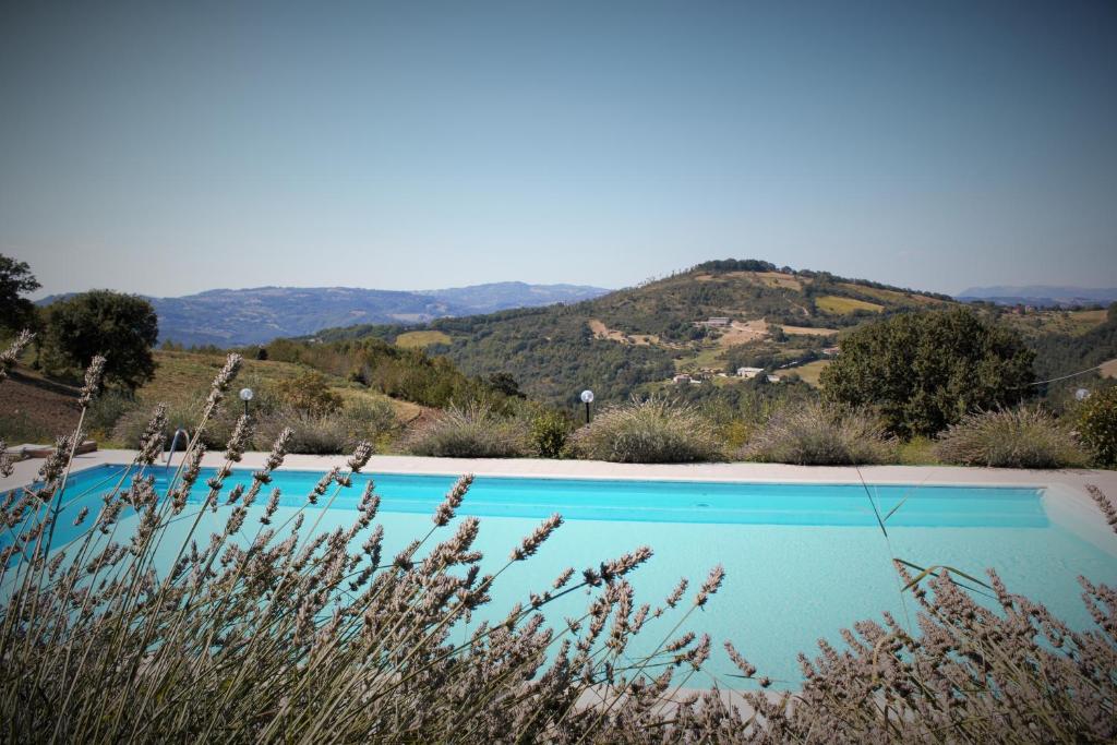 una piscina azul con una montaña en el fondo en Agriturismo Monte della Dea, en Valfabbrica