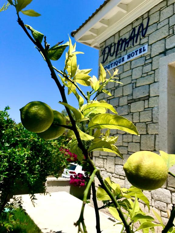 Kép Duman Boutique Hotel Cesme szállásáról Çeşmében a galériában