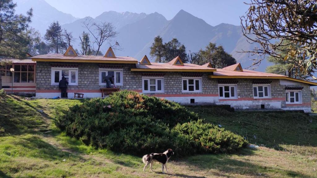 a dog standing in front of a house at Lukla Airport Resort Lukla in Lukla