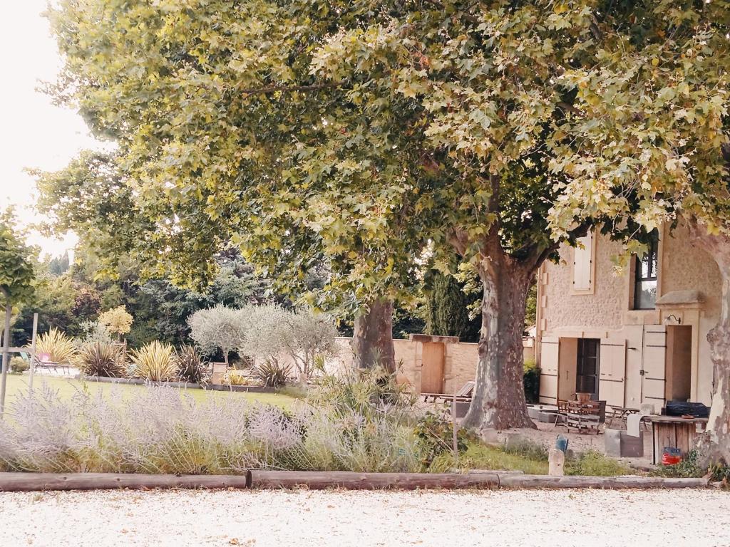 una casa con dos árboles y un banco en un jardín en Gite du Mas de la Finière ,avec SPA intérieur en Châteaurenard