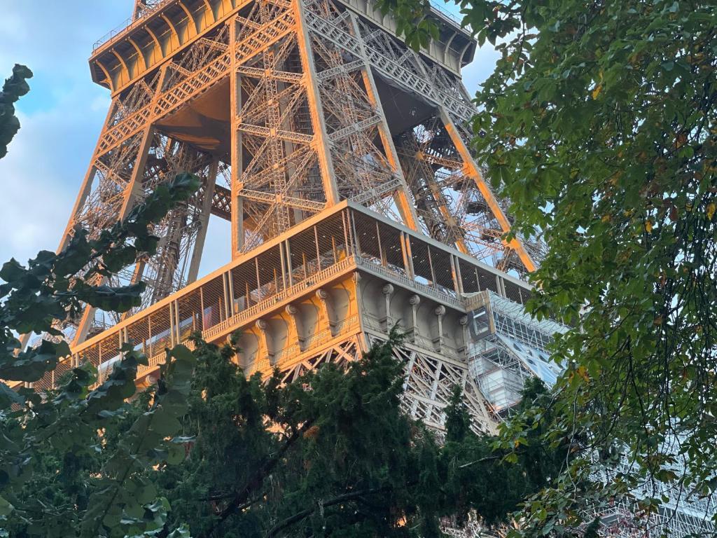 uma vista da torre Eiffel através de uma árvore em Beausejour Ranelagh em Paris