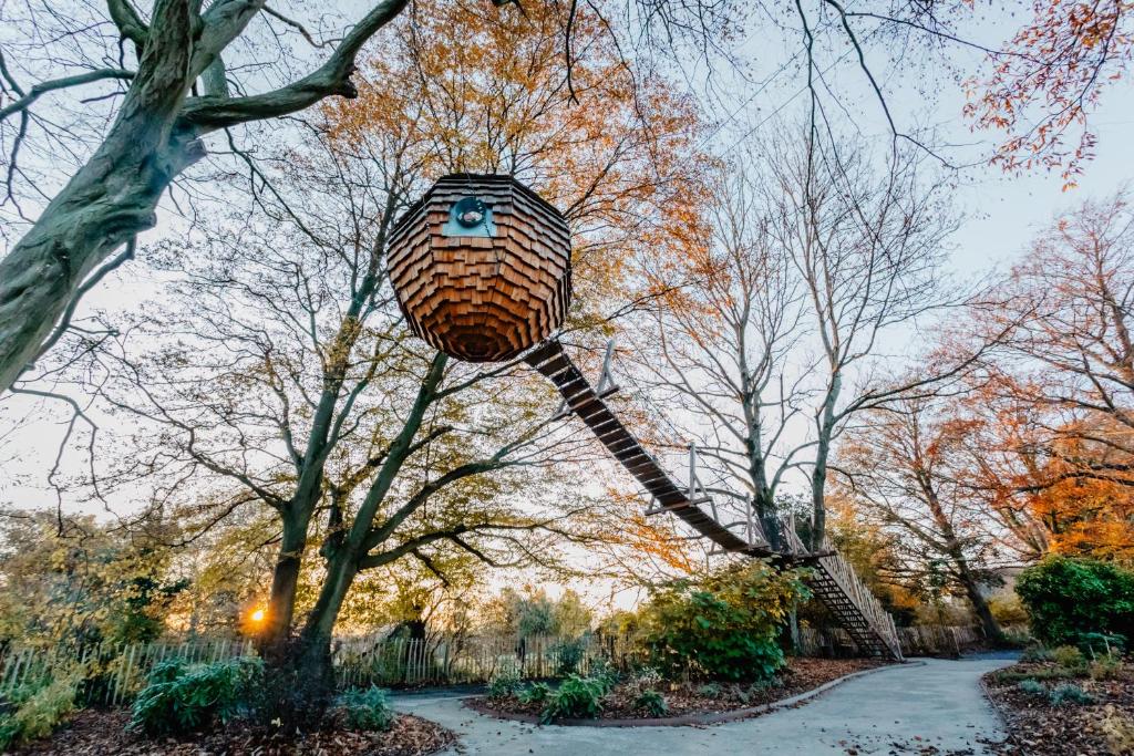 a basket hanging from a tree in a park at Cabane suspendue in Wargnies-le-Petit