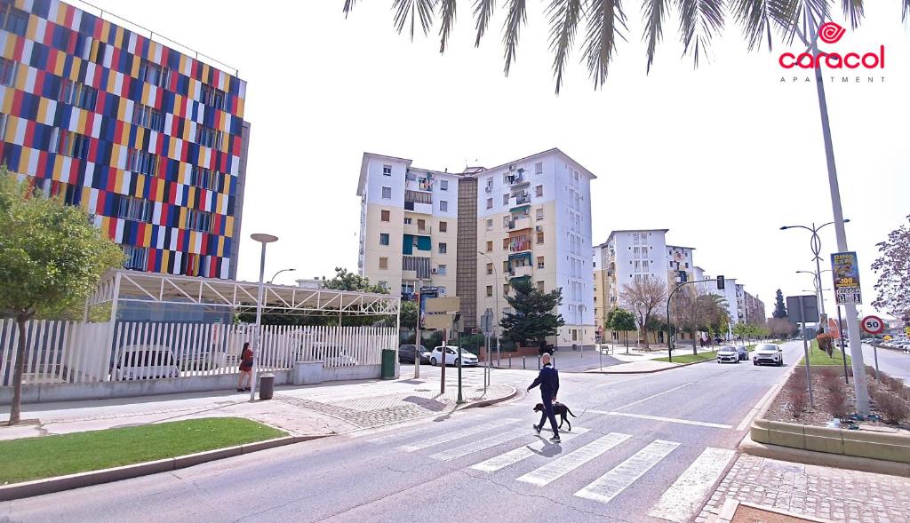 Kép Apartamento Caracol - CORDOBA szállásáról Córdobában a galériában